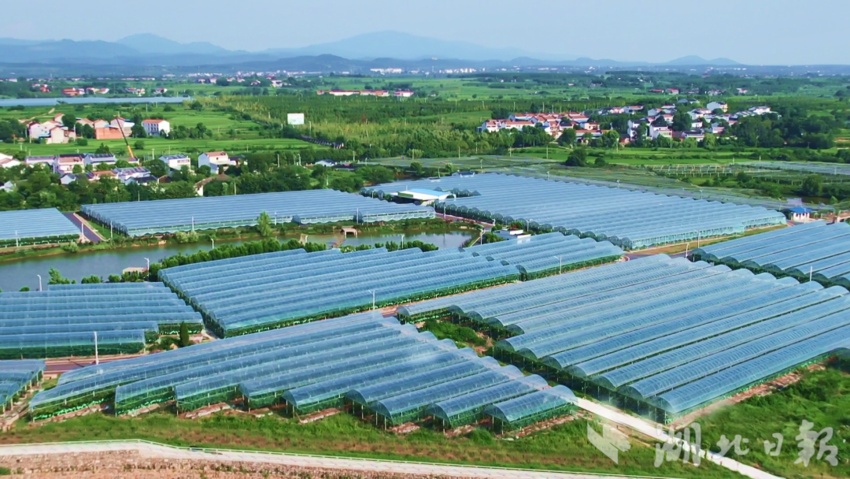 捕鱼游戏客户